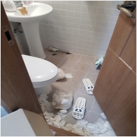 울산 가정 폐기물-3888701